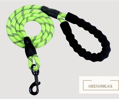 Shimmer & Shine Reflective Dog Leash