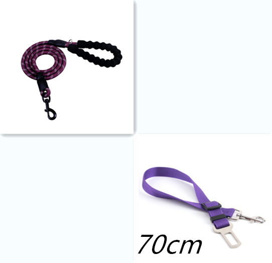 Shimmer & Shine Reflective Dog Leash