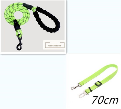 Shimmer & Shine Reflective Dog Leash