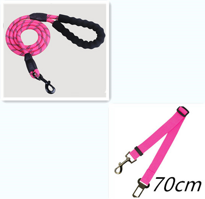 Shimmer & Shine Reflective Dog Leash