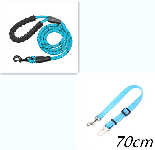 Shimmer & Shine Reflective Dog Leash