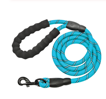 Shimmer & Shine Reflective Dog Leash