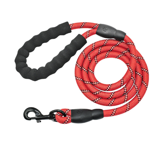 Shimmer & Shine Reflective Dog Leash