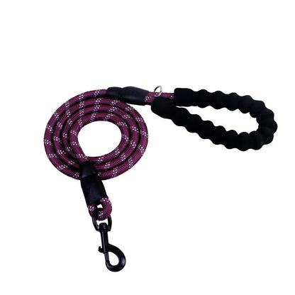 Shimmer & Shine Reflective Dog Leash