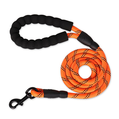 Shimmer & Shine Reflective Dog Leash